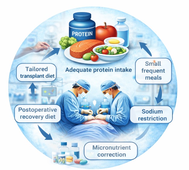 Nutrition in Liver Disease
